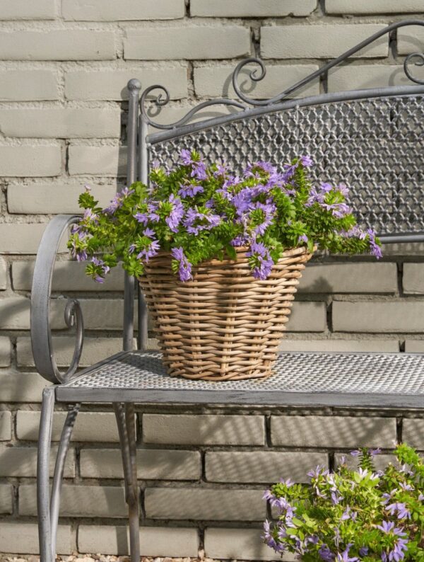 Punutud korv Marcia Ø29x h20cm hall