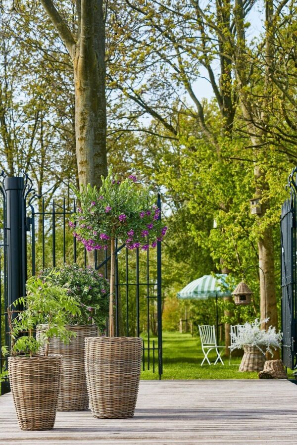 Punutud korv Marcia Ø35x h50cm plast sisu, hall