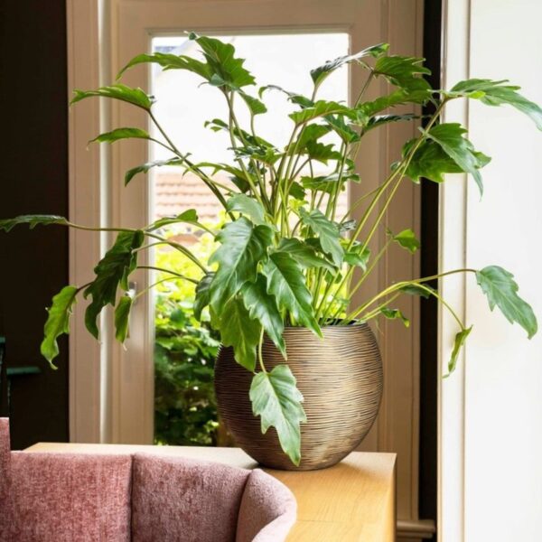 Lillepott Rib Ø18x h15cm kuldne