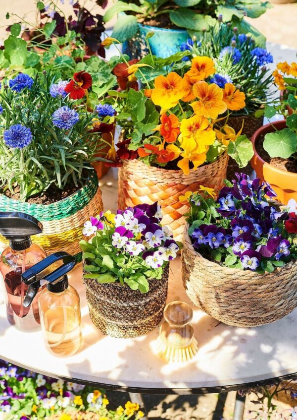 Punutud lillepott Jorck Ø18x h15cm kile sisu, helepruun