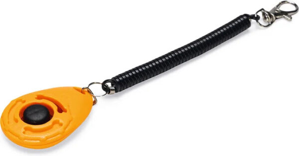 Treeningklikker oranž