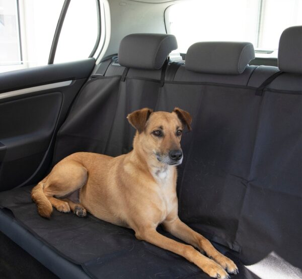 Istmekaitse autosse must 140x120cm