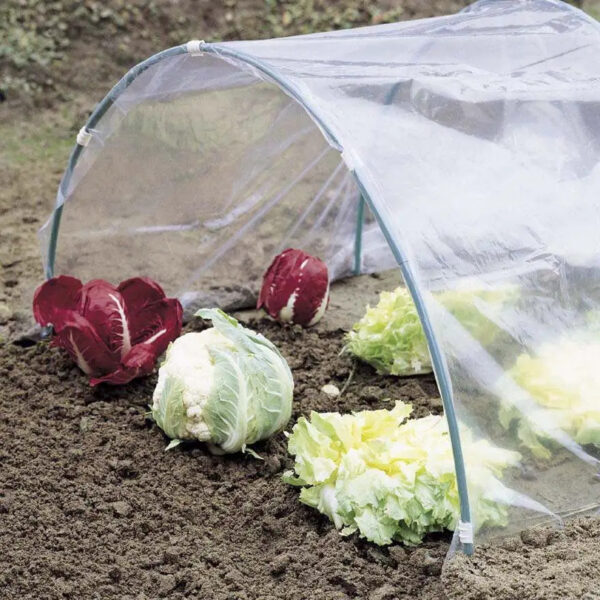 Kasvutunneli PE kile 1m