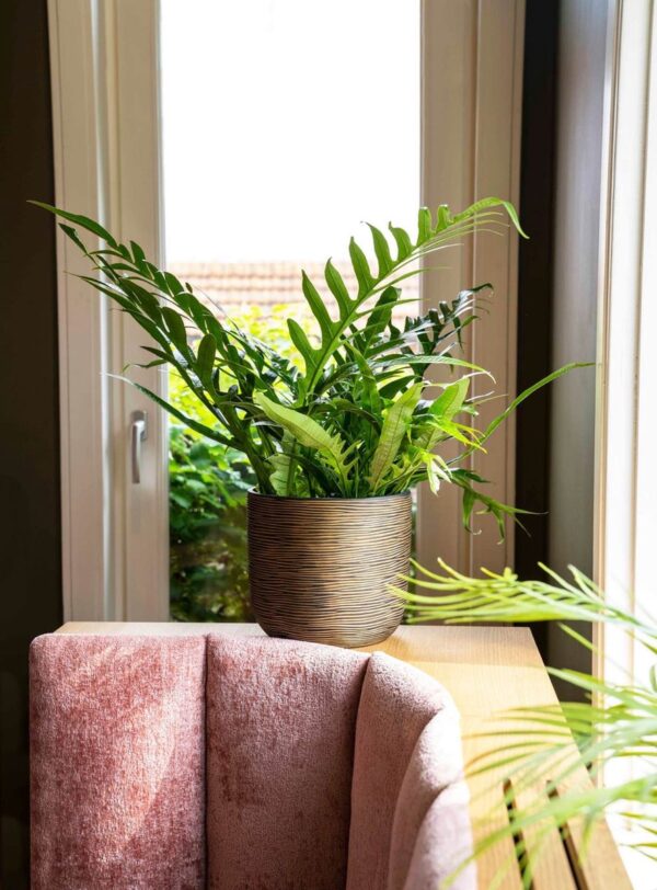 Lillepott Rib Ø14x h13cm kuldne