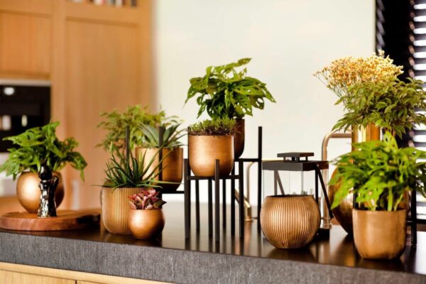 Lillepott Retro Ø23x h25cm kuldne