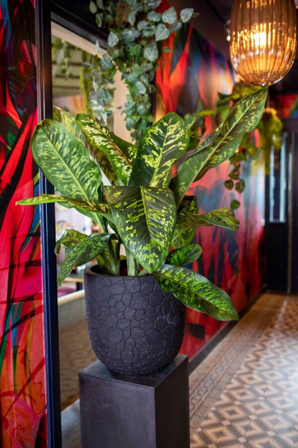 Lillepott Clay NL Ø43x h41cm must