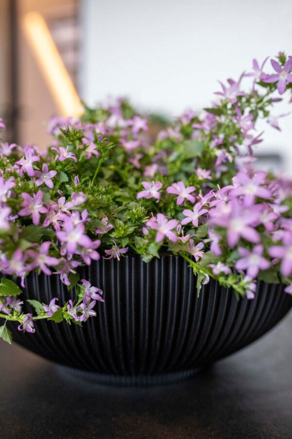 Lillepott Groove Ø40x h15cm must