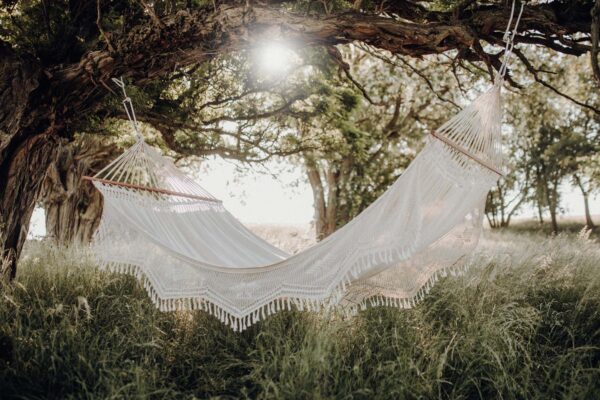 Rippkiik Palacio 240x160cm