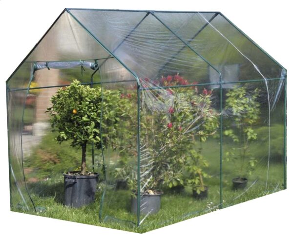 Kasvuhoone Narciso 185x240x h205cm