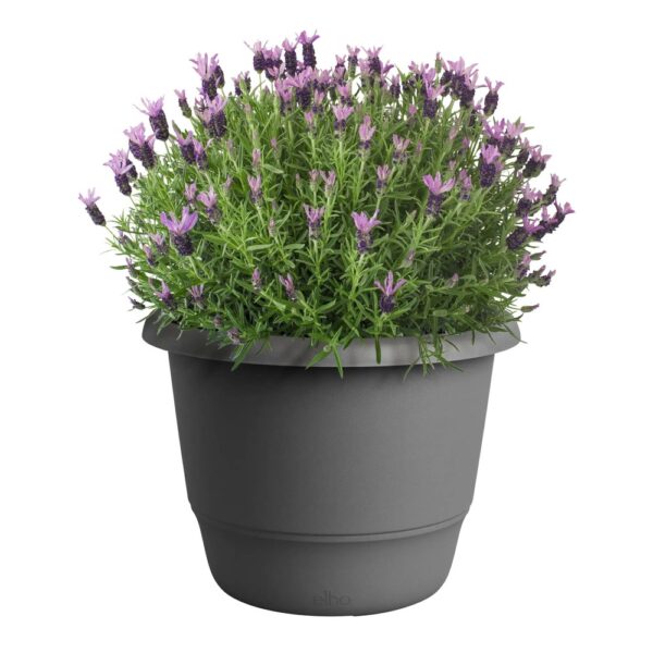 Õuepott Amiga Ø40cm antratsiit