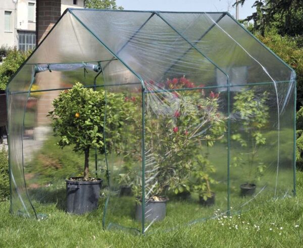 Kasvuhoone Narciso 185x240x h205cm