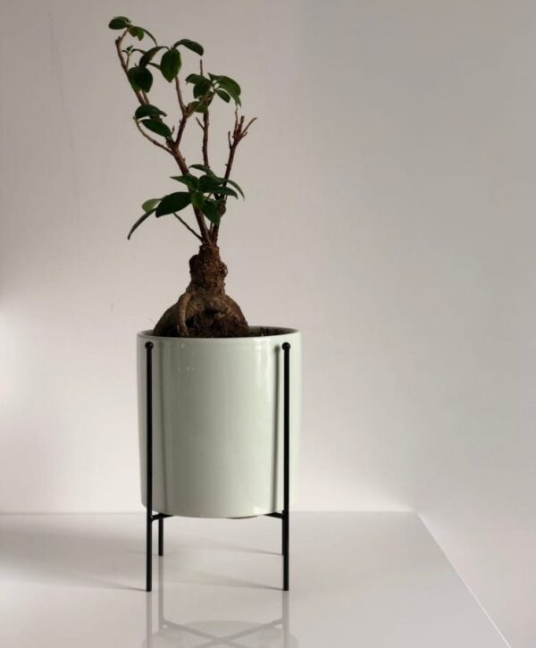 Taimealus Ø15x h19cm valge