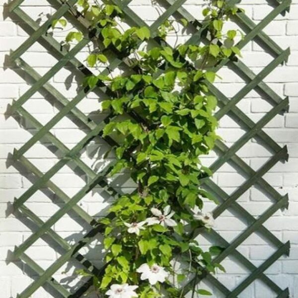 Võresein Nature puidust roheline 100x h300cm