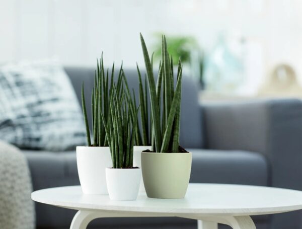 Lillepott Brussels Ø18x h17cm roheline