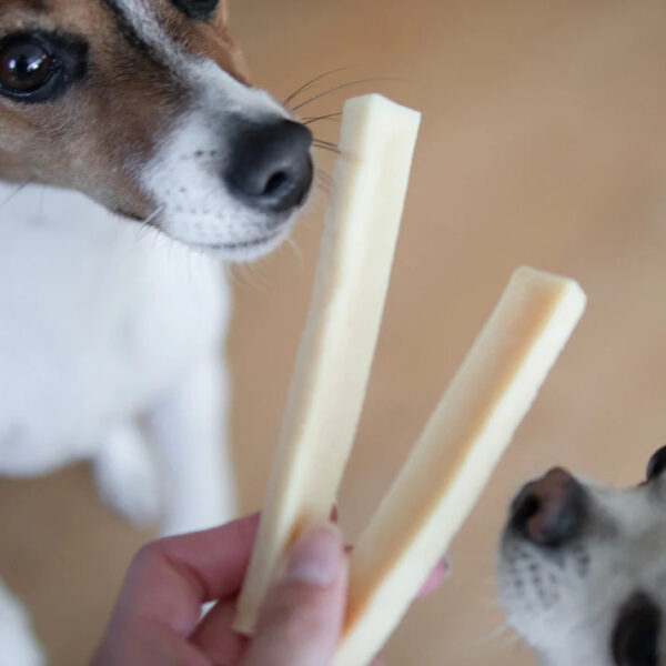 Pala juustu närimismaiused koerale M 100g