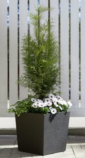 Lillepott Cubis 39x39x h39cm must