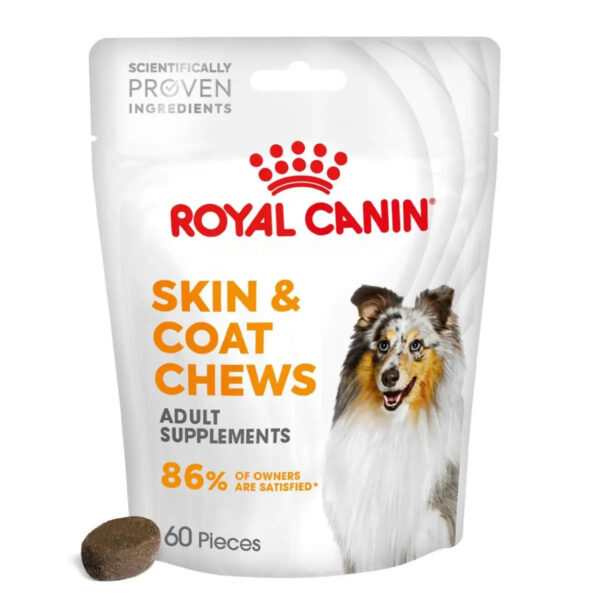 Royal Canin toidulisand Skin&Coat täiskasvanud koertele 240g