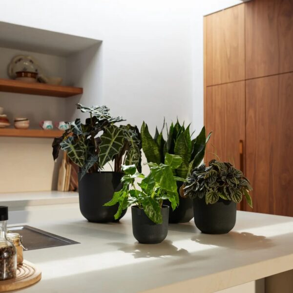 Lillepott Jazz Ø23x h21cm must