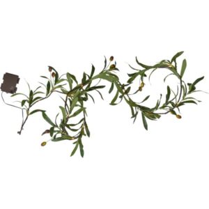 Vanik oliivioks tuledega 20LED soe valge 180cm