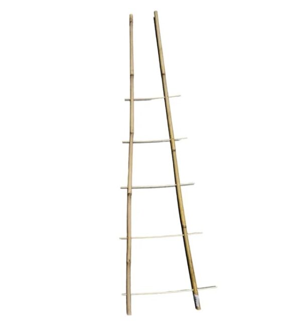 Taimeredel bambus 2 haru 5 astet h105cm