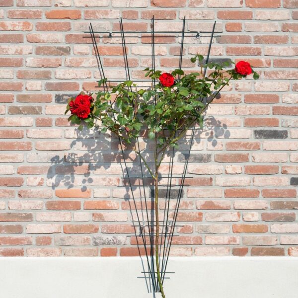 Võresein Nature metallist V-kuju hall h145x5-75cm