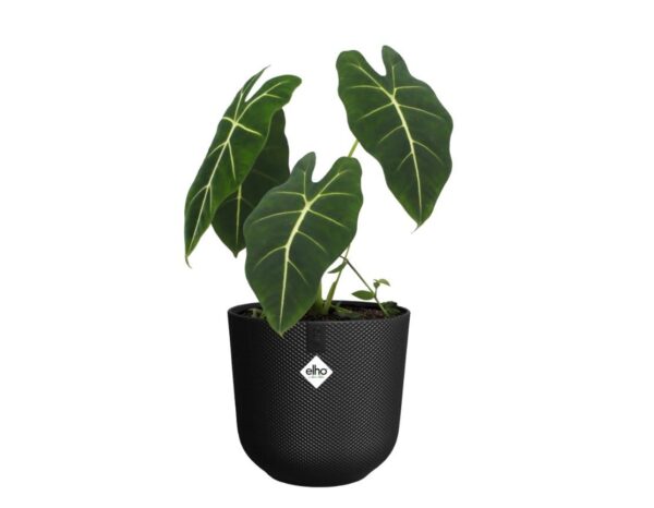 Lillepott Jazz Ø23x h21cm must