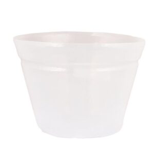 Sisupott Ø30x h22cm läbipaistev