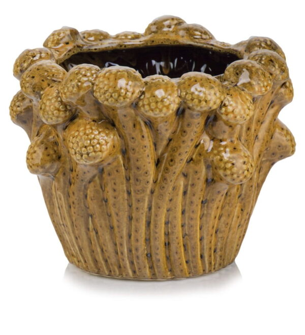 Lillepott Seened Ø17x h15cm pruun