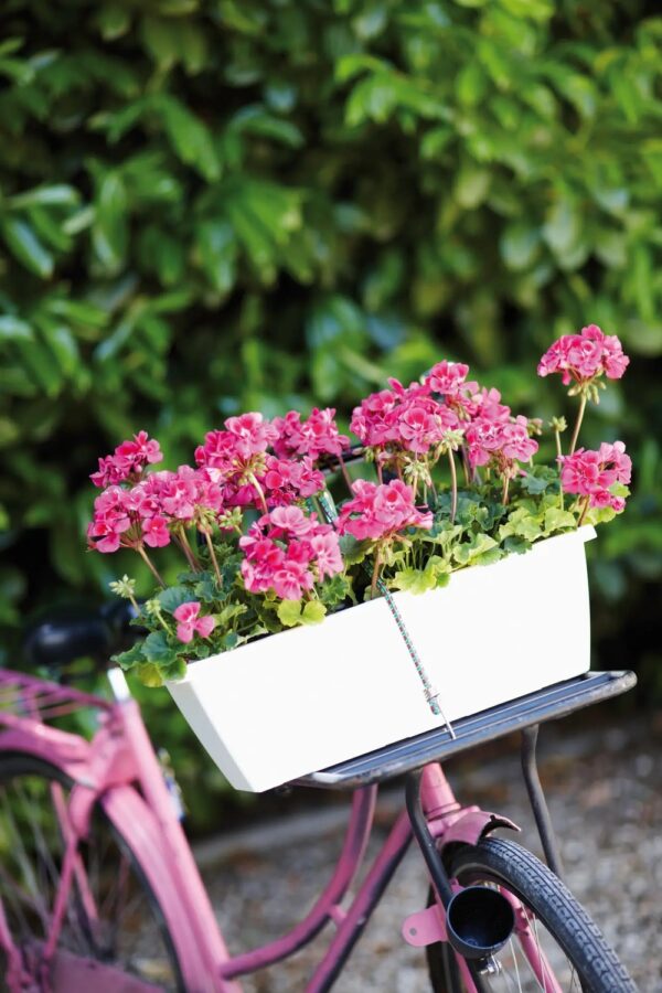 Rõdukast Barcelona 50cm valge