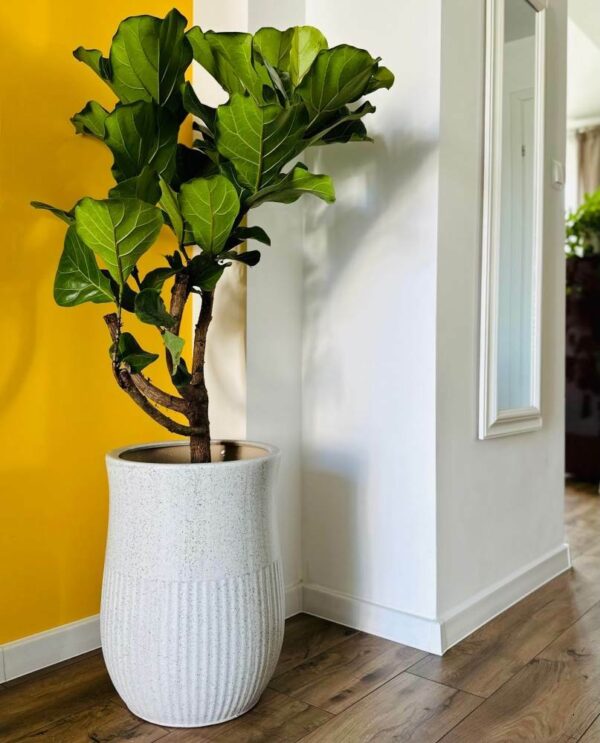 Lillepott Tulp Ø28x h47cm valge