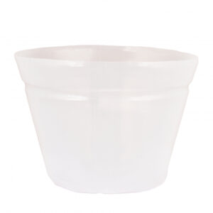 Sisupott Ø21x h16cm läbipaistev