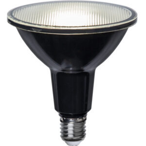 Elektripirn LED E27 PAR38 Spotlight IP65
