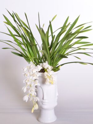 Tsümbiidium ‘Ice Cascade’ P14 2-3 õievart