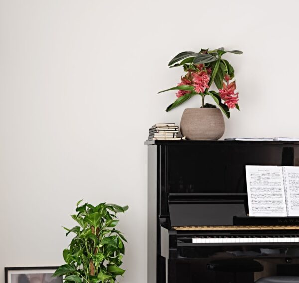 Savipott Erasmo Ø20cm tumepruun