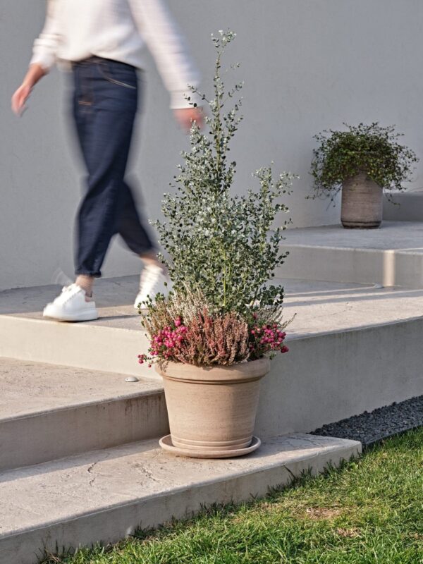 Savipott Querceto Ø38x h32cm hall