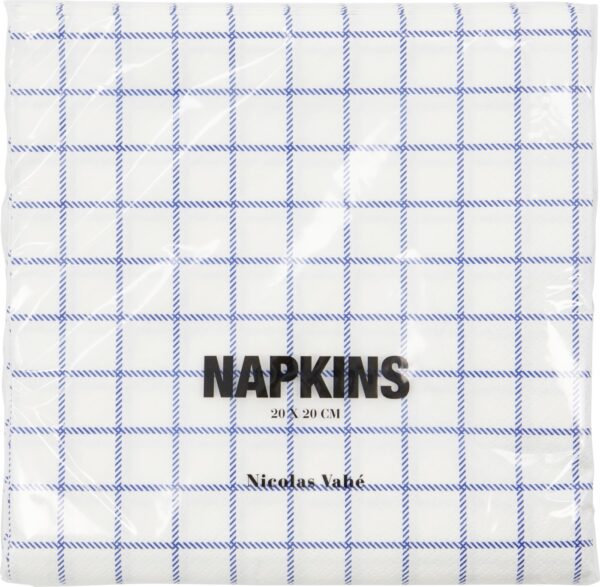 Salvrätik Check sinine 20x20cm