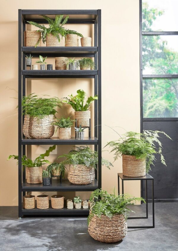 Punutud korv Avalon Ø18x h21cm kile sisuga, helepruun