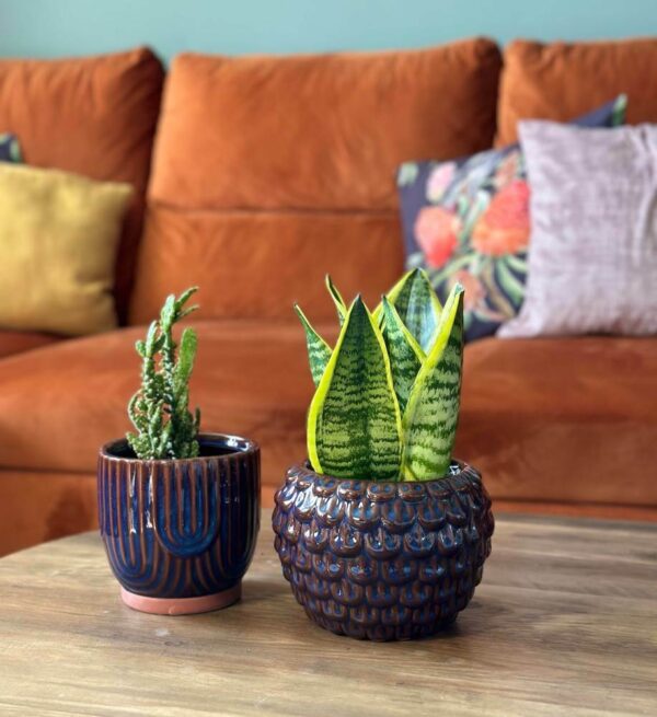 Lillepott Käbi Ø17x h13cm sinakaspruun