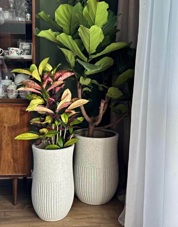 Lillepott Tulp Ø28x h47cm valge