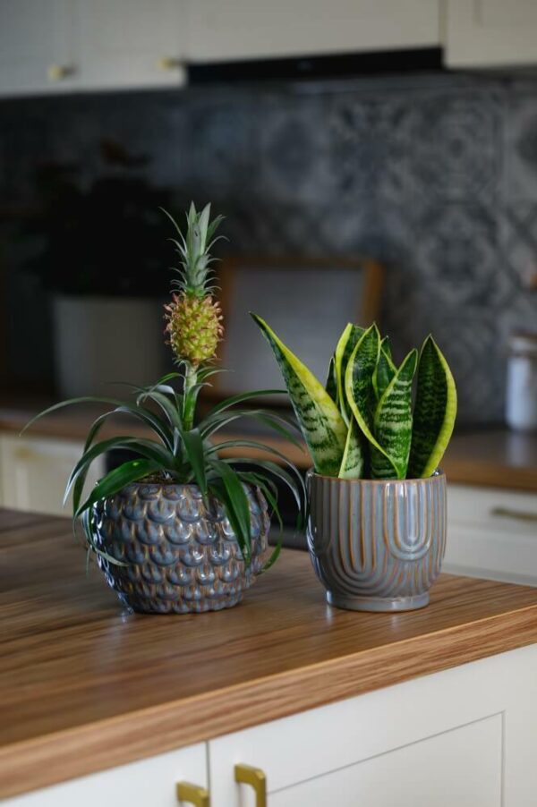 Lillepott Käbi Ø17x h13cm hall