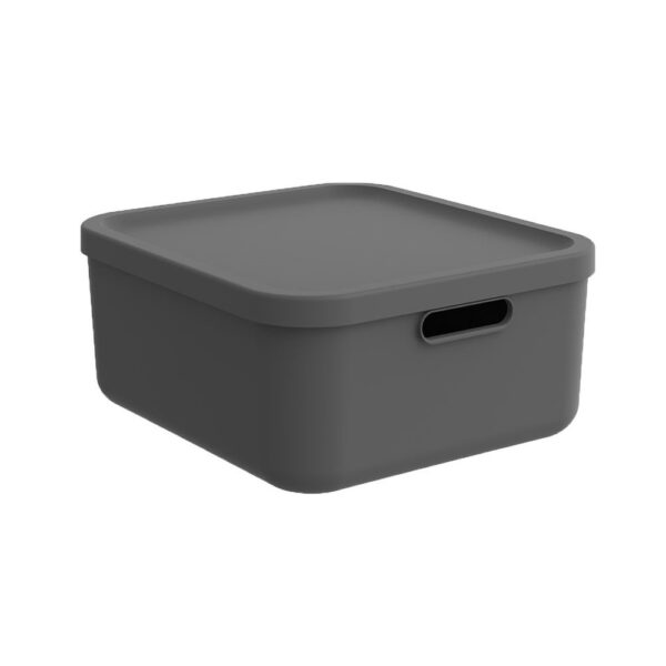 Hoiukast kaanega Albula antratsiit 20L, 39,5x35,5x17,7cm