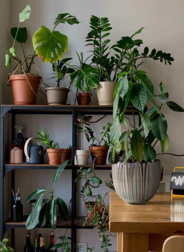 Lillepott Lehed Ø20x h19cm hall