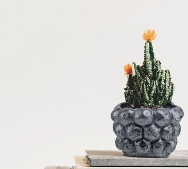 Lillepott Home Ø17x h13cm hall