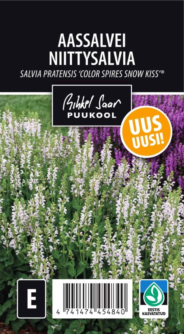 Aassalvei 'Color Snow Kiss' P17 Eestis kasvatatud