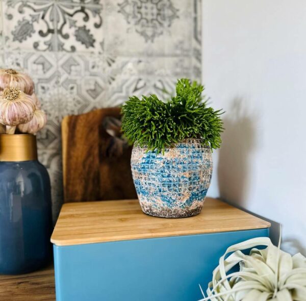 Lillepott Donica Ø16x h14cm sinine