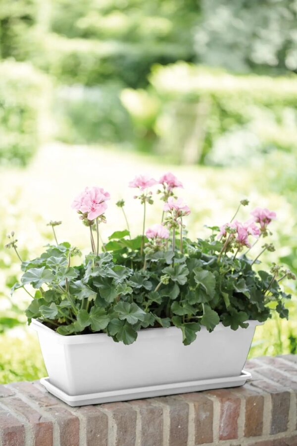 Rõdukast Barcelona 50cm valge