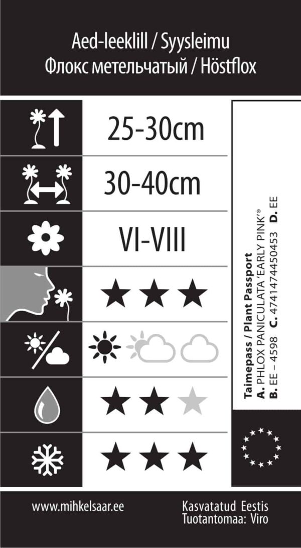 Aed-leeklill 'Early Pink Candy' P17 Eestis kasvatatud