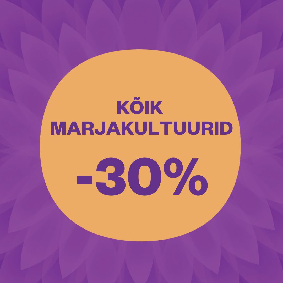 TOOTEPILDID (RUUT) uudiskirja (16)