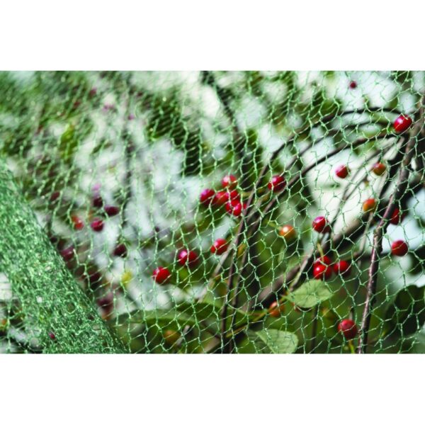 Linnuvõrk Nature roheline 5x4m