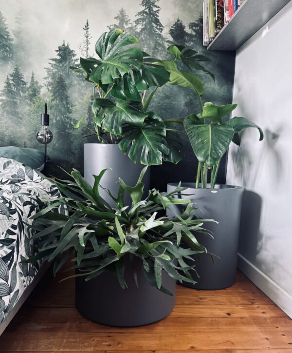 Õuepott Cylin madal Ø46x h30cm hall